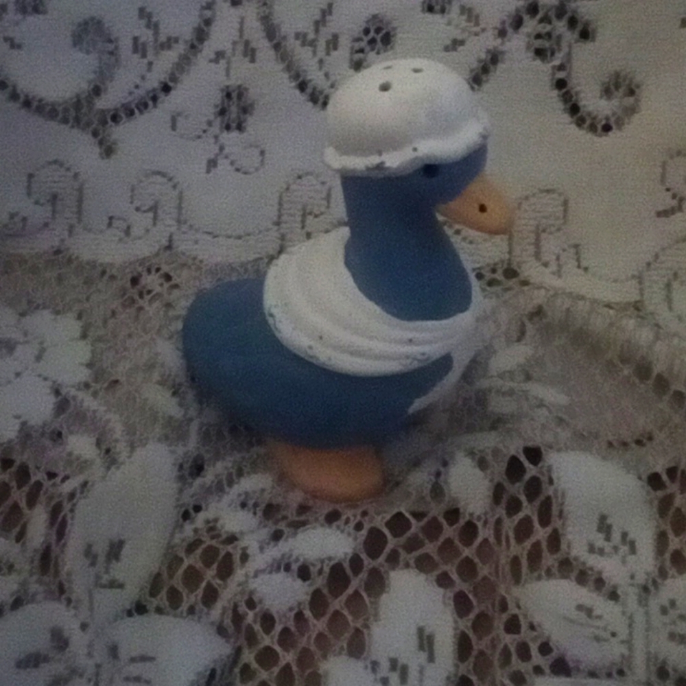 Cute country 70's duck salt shaker